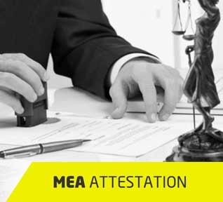 mea